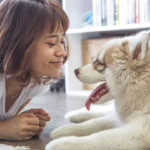 CBD Benefits For Dogs: What to Know If You Want to Give Your Dog CBD