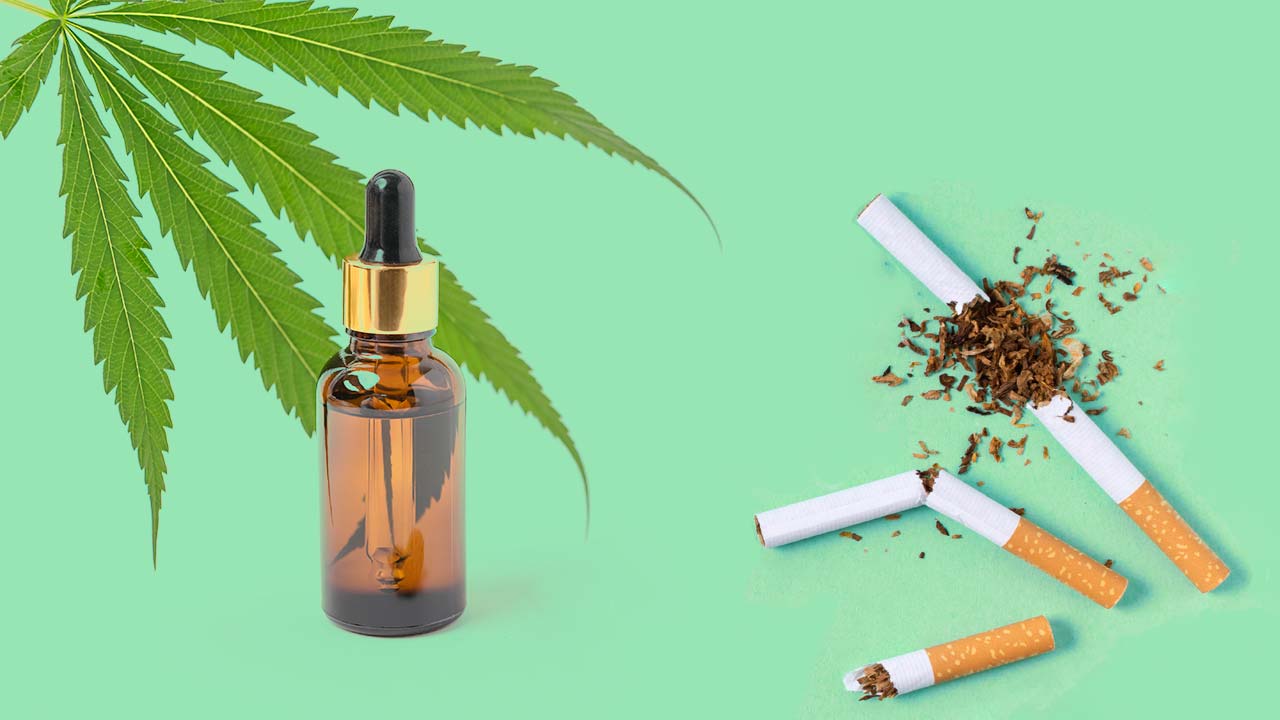 Can Cbd Oil Help You Quit Smoking Cbdmarket 