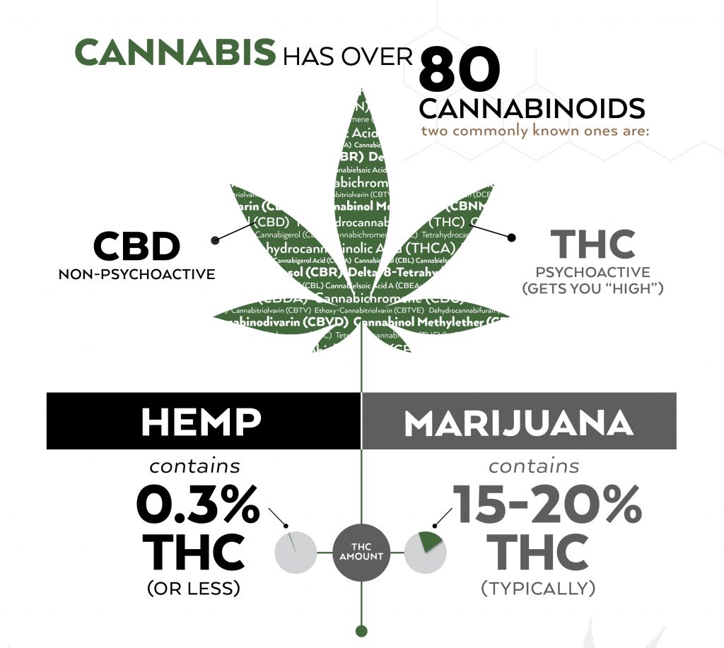 the difference between cbd from hemp and marijuana
