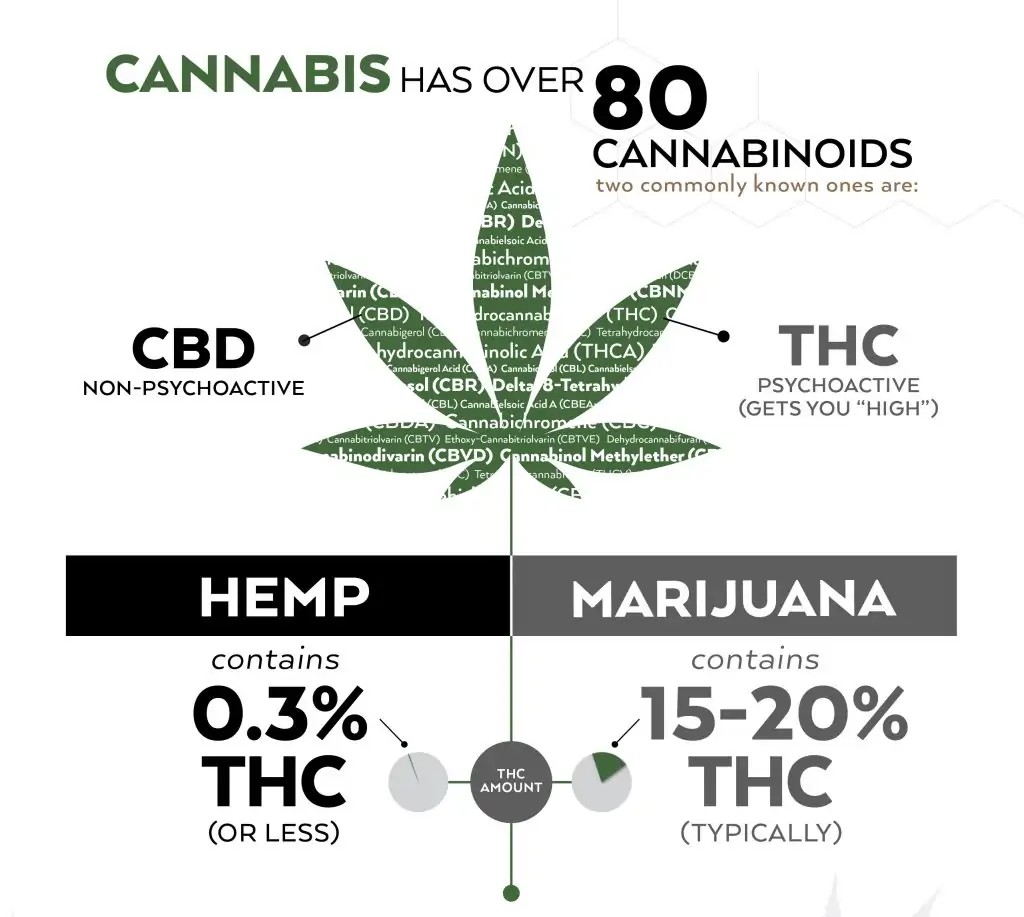 How are CBD and THC Different?