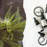 Does CBD Oil Have Same Benefits as THC