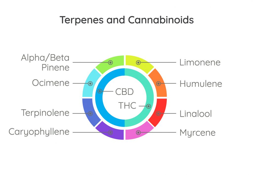 full spectrum hemp oil