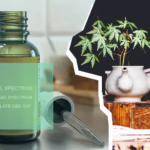Full Spectrum vs Broad Spectrum vs CBD Isolate: How To Choose the Best CBD Spectrum Type?