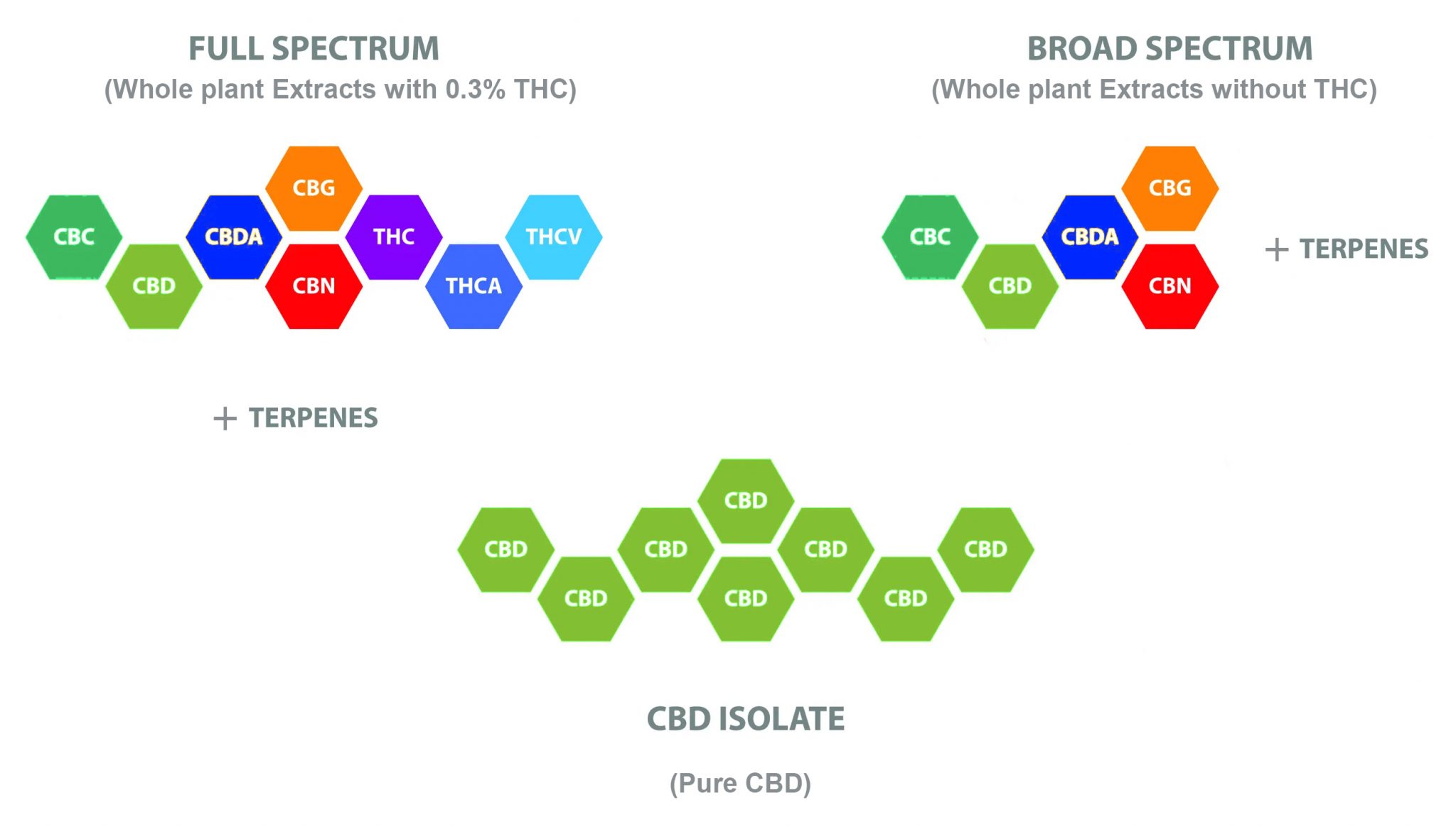 Differences between different types of CBD extract: Full Spectrum Broad Spectrum and Isolate