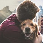 CBD for Pets: A Beginner’s Guide