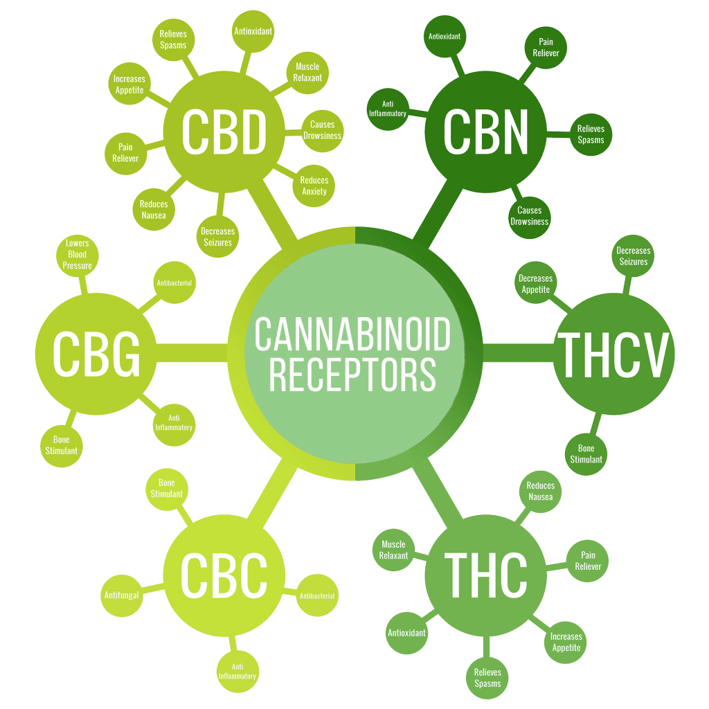 cannabinoid receptors