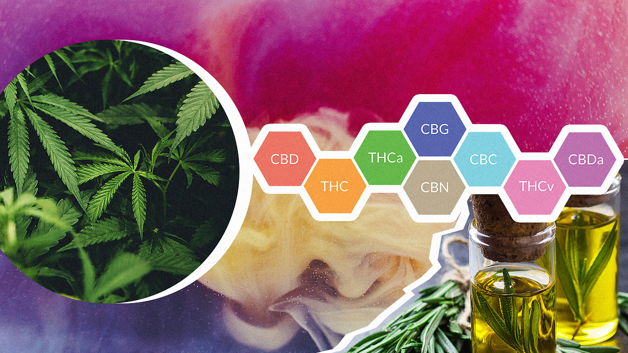 what are cannabinoids