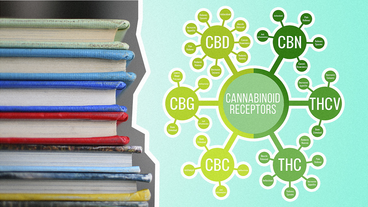 cannabinoid receptors