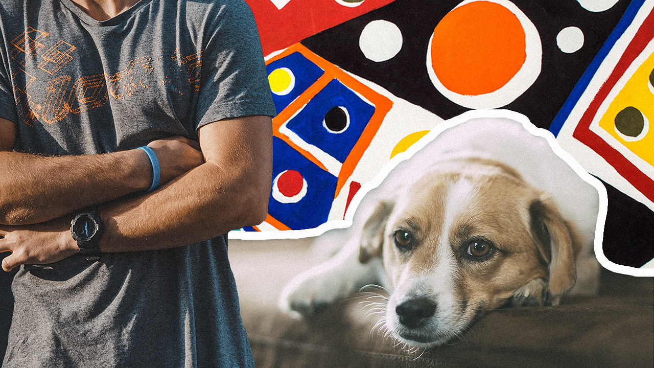 cbd oil for dog seizures