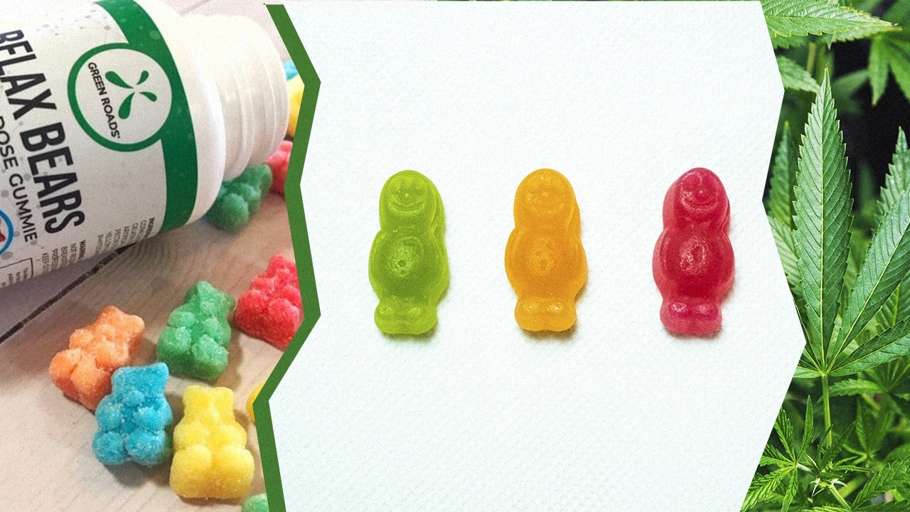 The Best CBD Gummies Review: Chewing on a Right Gummy - CBD.market