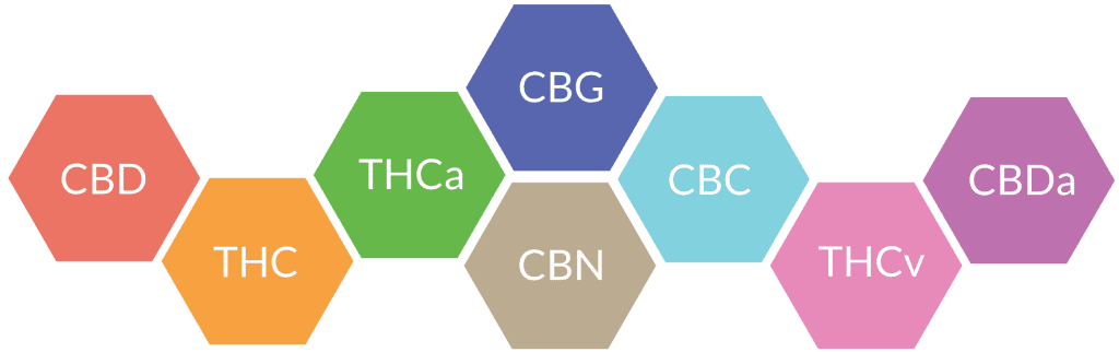 Cannabinoids in Full Spectrum CBD Oil