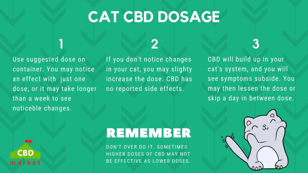 cbd oil dosage for cats