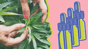 300mg CBD Variety Pack Boost Gummies Edibles- Happy Tree Buds