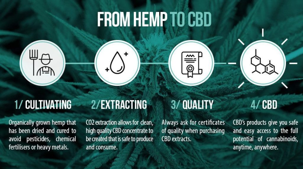 cbd hemp oil for pain