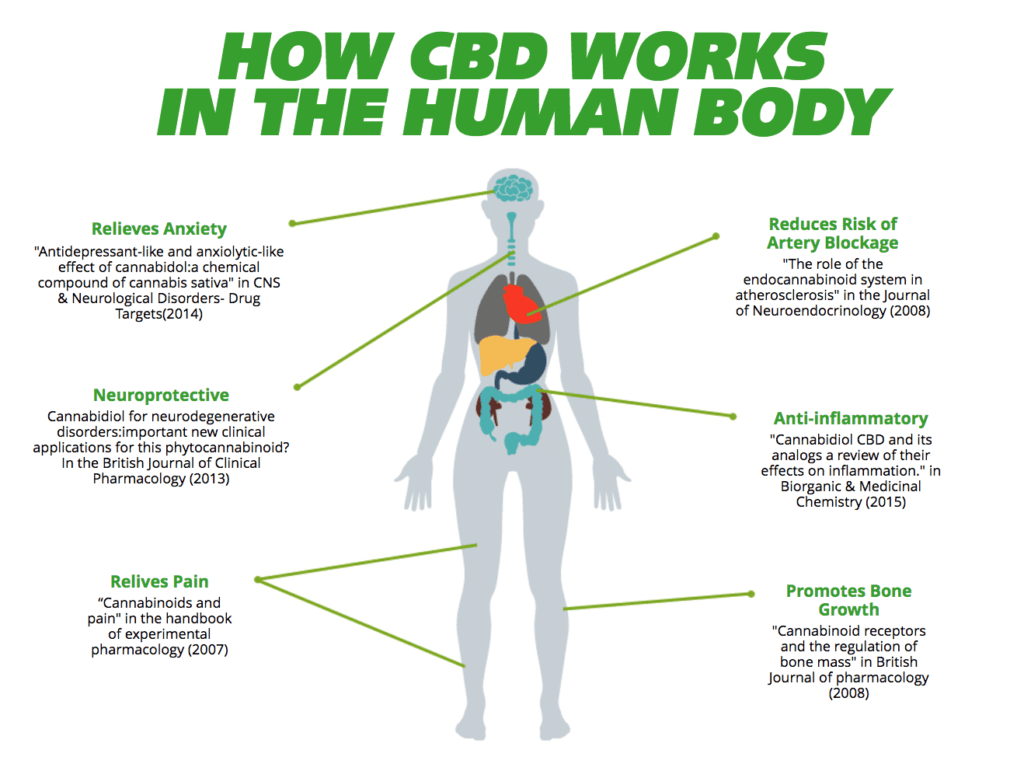 cbd pills benefits