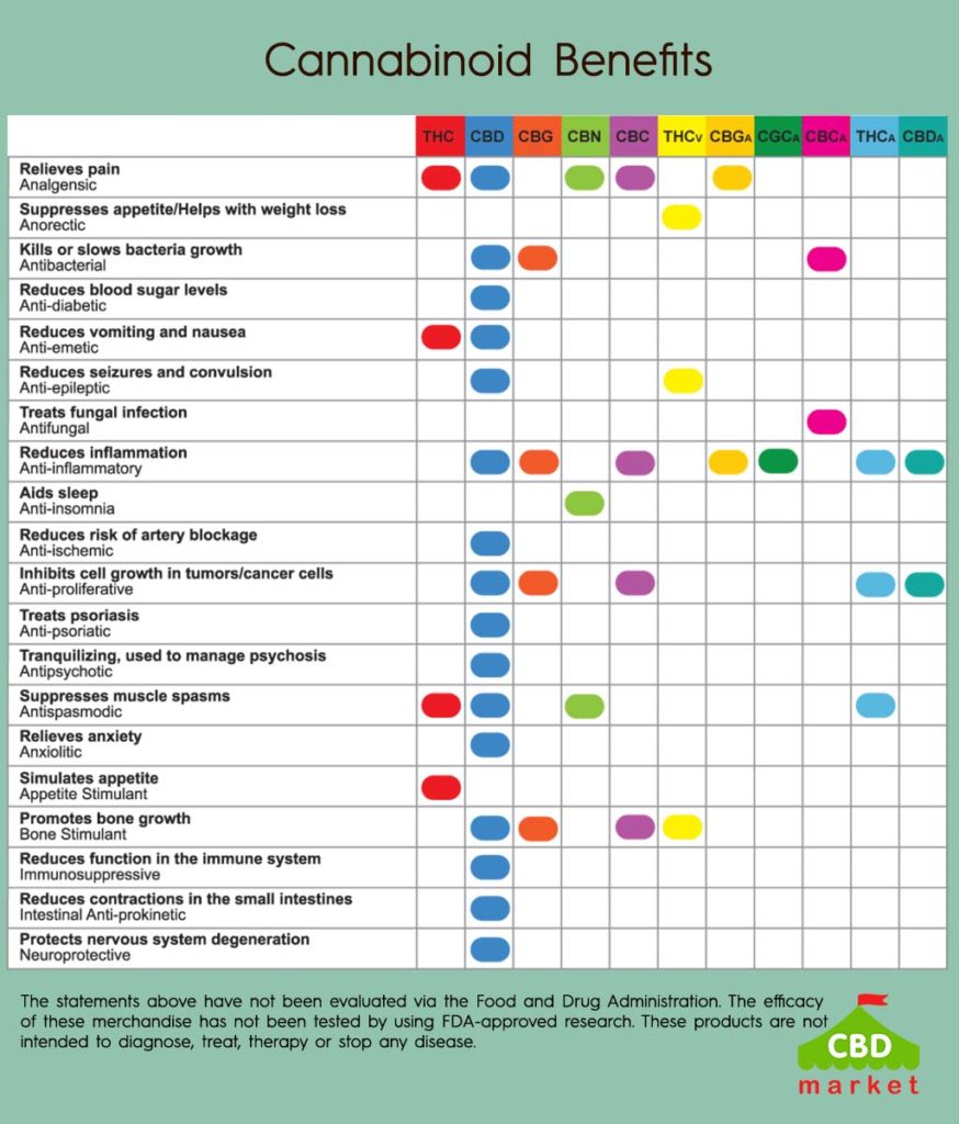 What are the Benefits of CBD Oil? - CBD.market