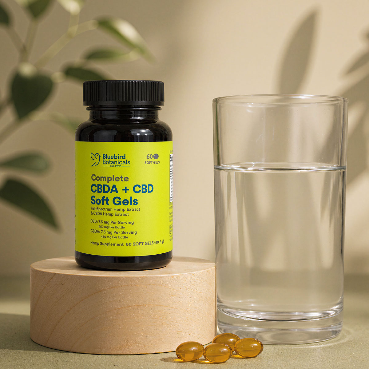 Bluebird Botanicals, Complete CBD + CBDA Oil Softgels, Full Spectrum, 60ct, 450mg CBDA + 450mg CBD
