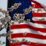 A Memorandum on the Use of CBD Products by Military Service Members