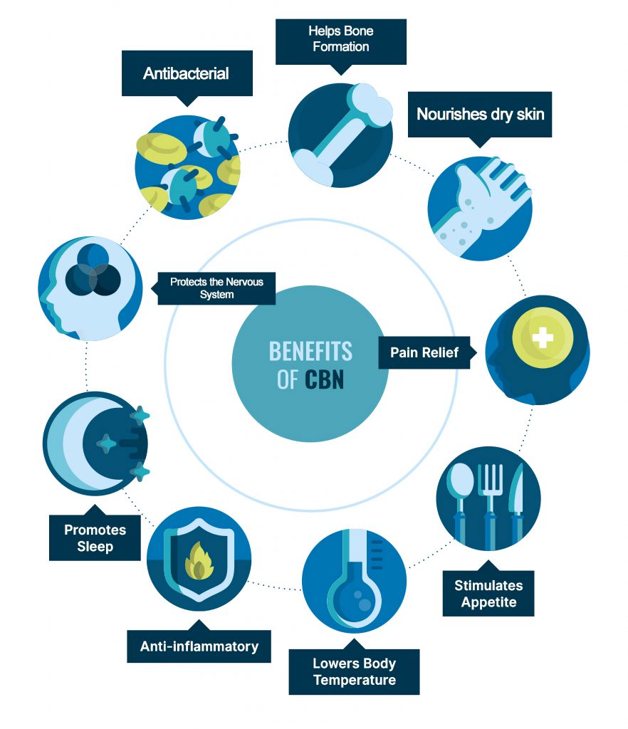 CBN Oil Benefits: Pain Relief, Sleep Support, Anti-inflammatory and Antibacterial