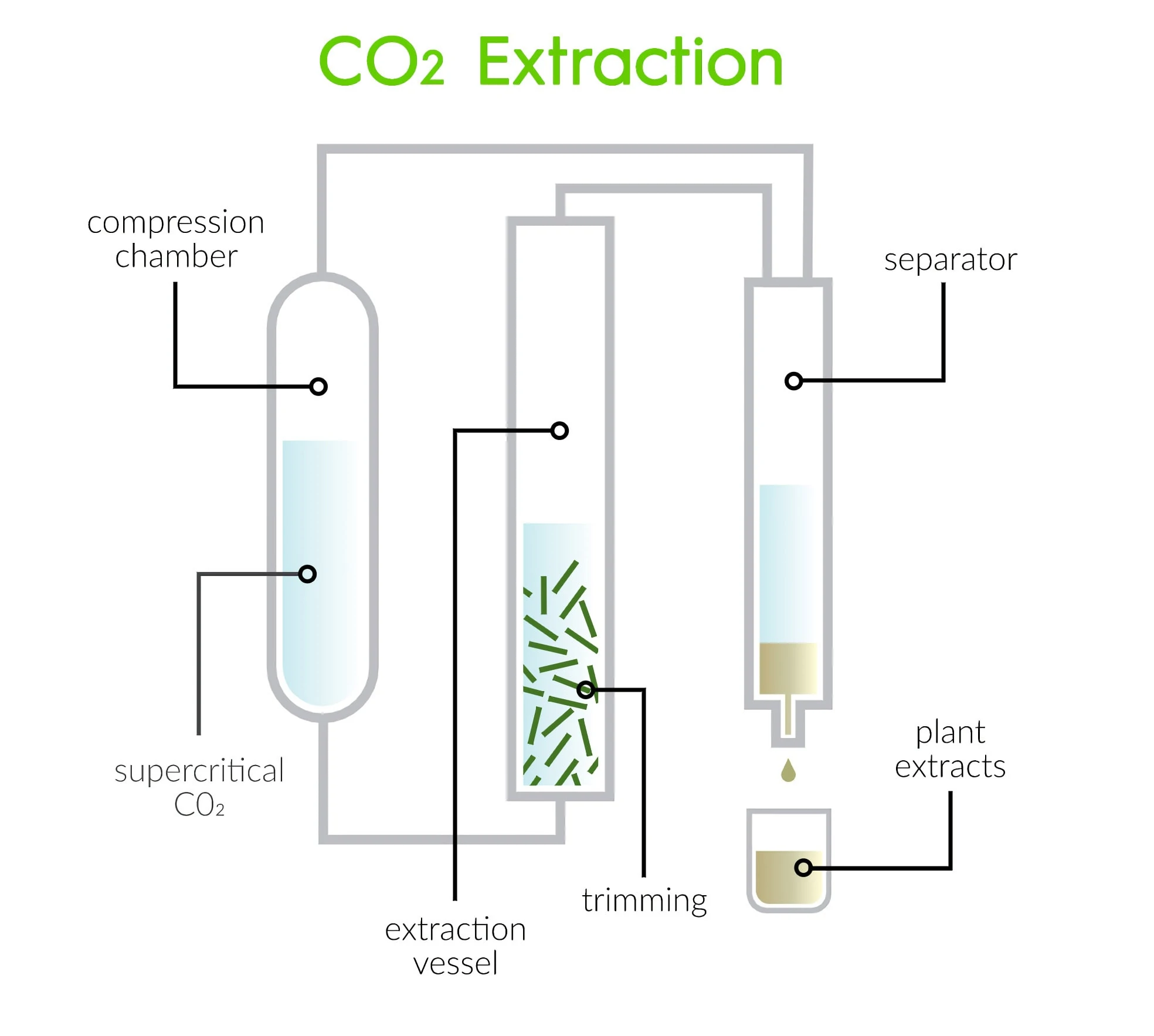 The supercritical CO2 extraction process