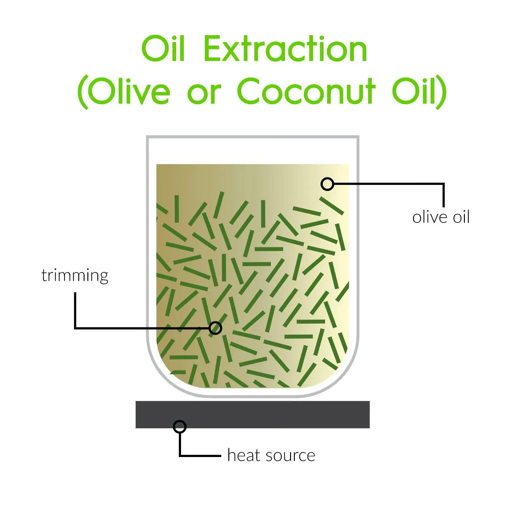 Oil extraction Using Olive or Coconut Oil