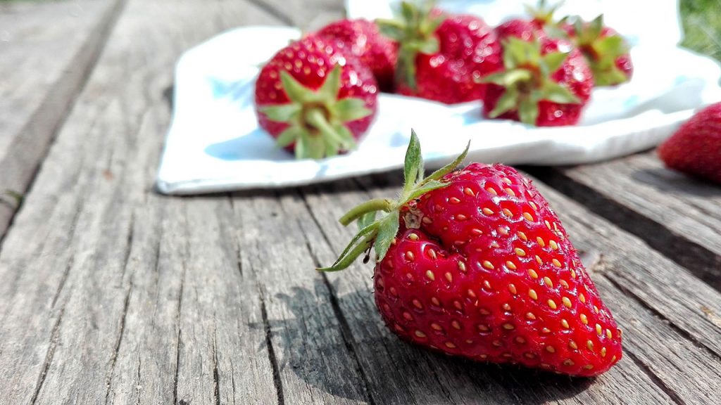 Can CBD keep fruit and berries fresh?