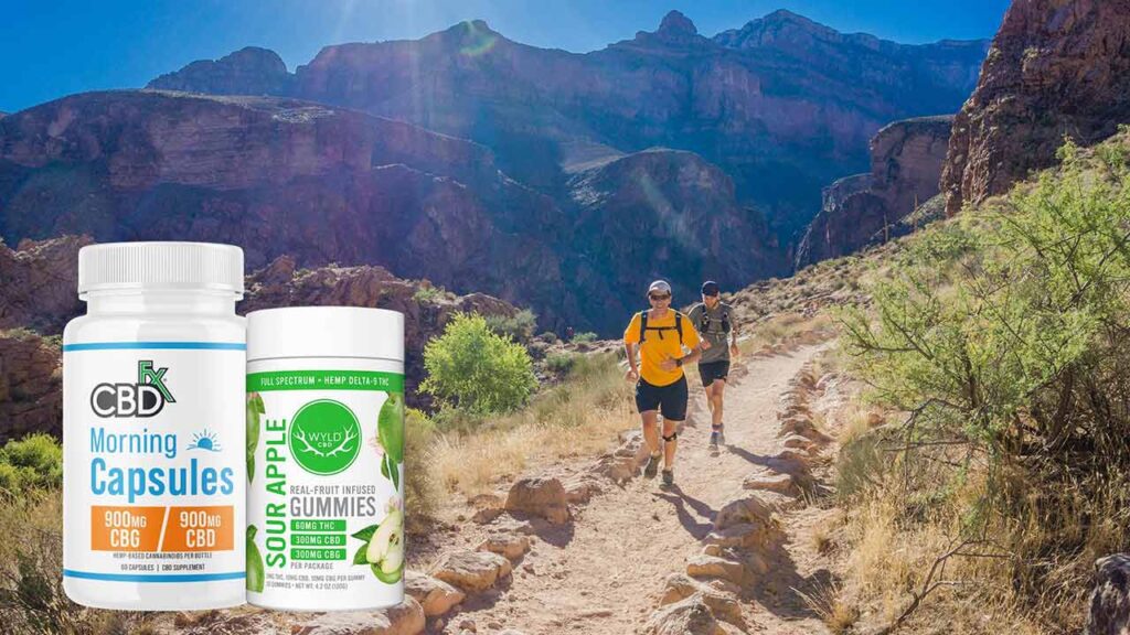 Best CBD Oils, Gummies and Capsules for Focus and Energy