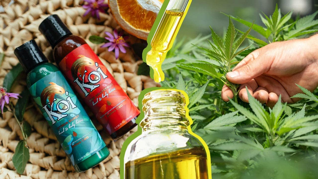 CBD Tolerance: Can You Build Up a Tolerance to CBD Oil?