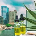 Top Myths About CBD Debunked