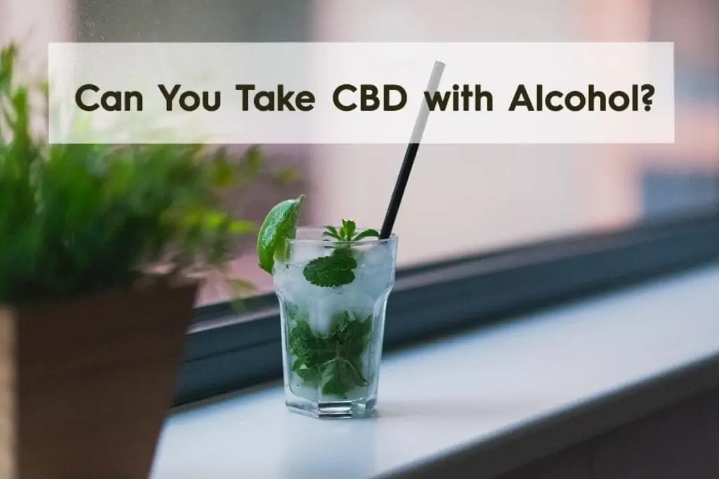 Can You Mix CBD with Alcohol?