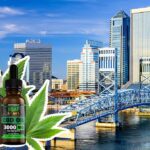 Where to Buy CBD Oil in Florida