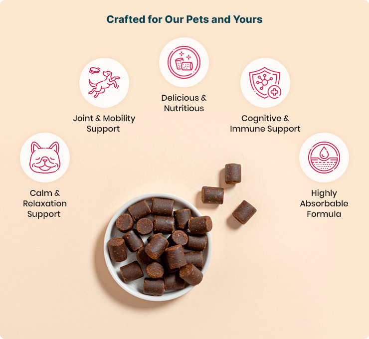Joy Organics, CBD Dog Chews Treats, Beef Flavored, Broad Spectrum THC-Free, 30ct, 60mg CBD