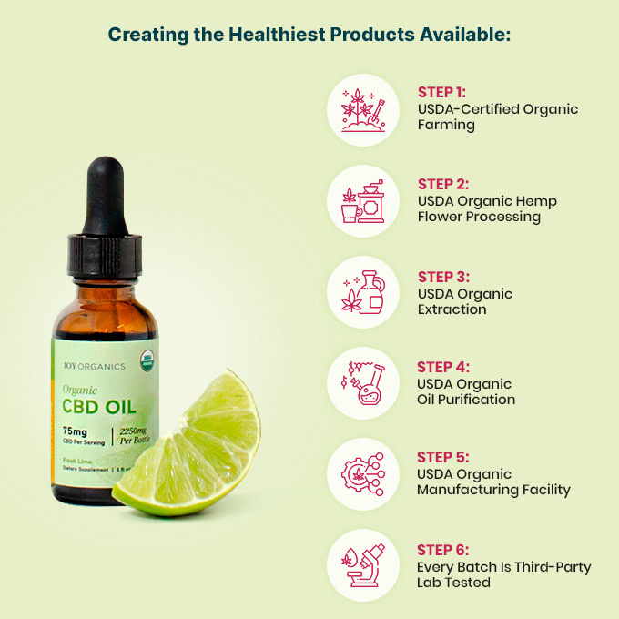 Joy Organics, Fresh Lime Organic CBD Tincture, Full Spectrum, 1fl oz, 2250mg CBD
