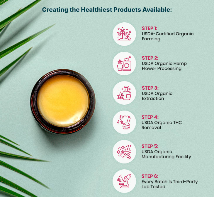 Joy Organics, Organic CBD Salve, Broad Spectrum THC-Free, 2fl oz, 1000mg CBD