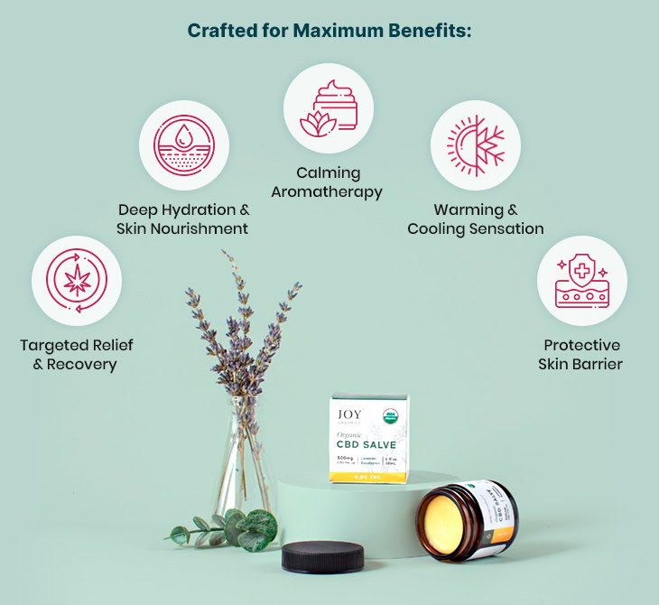 Joy Organics, Organic CBD Salve, Broad Spectrum THC-Free, 2fl oz, 1000mg CBD