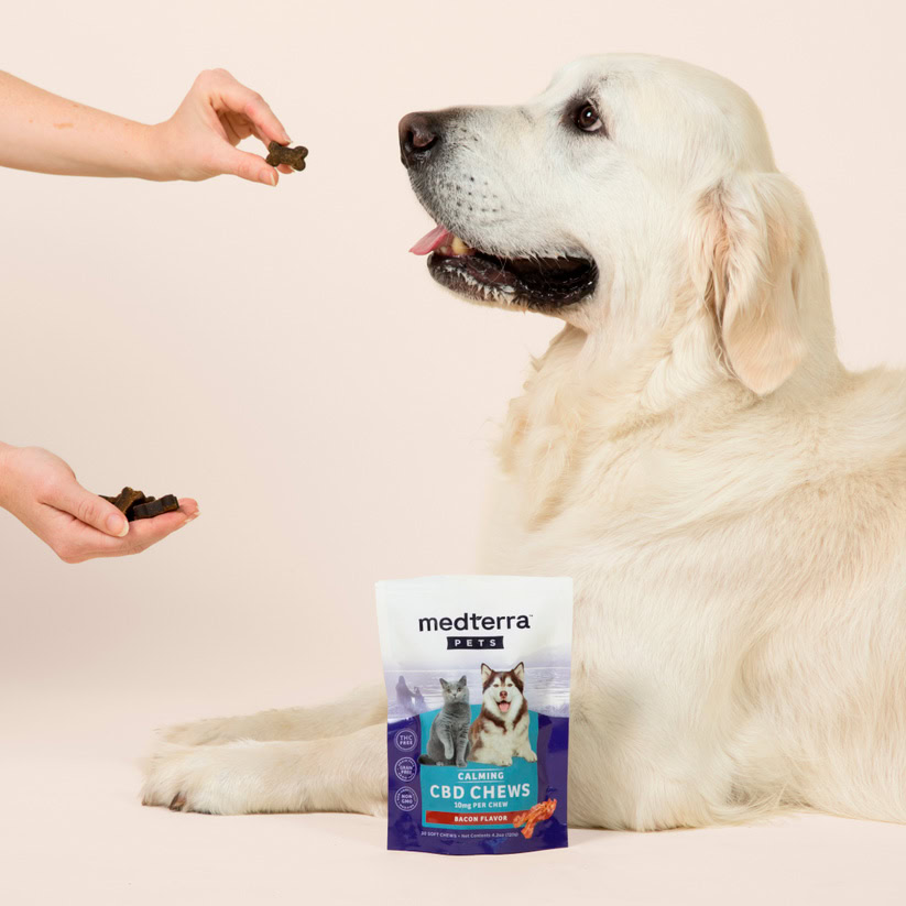 Medterra, Calming CBD Chews for Dogs & Cats, Isolate THC-Free, Bacon, 30ct, 300mg CBD 1