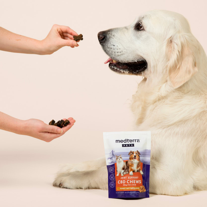 Medterra, Joint Support CBD Chews for Dogs & Cats, Isolate THC-Free, Peanut Butter, 30ct, 300mg CBD 1