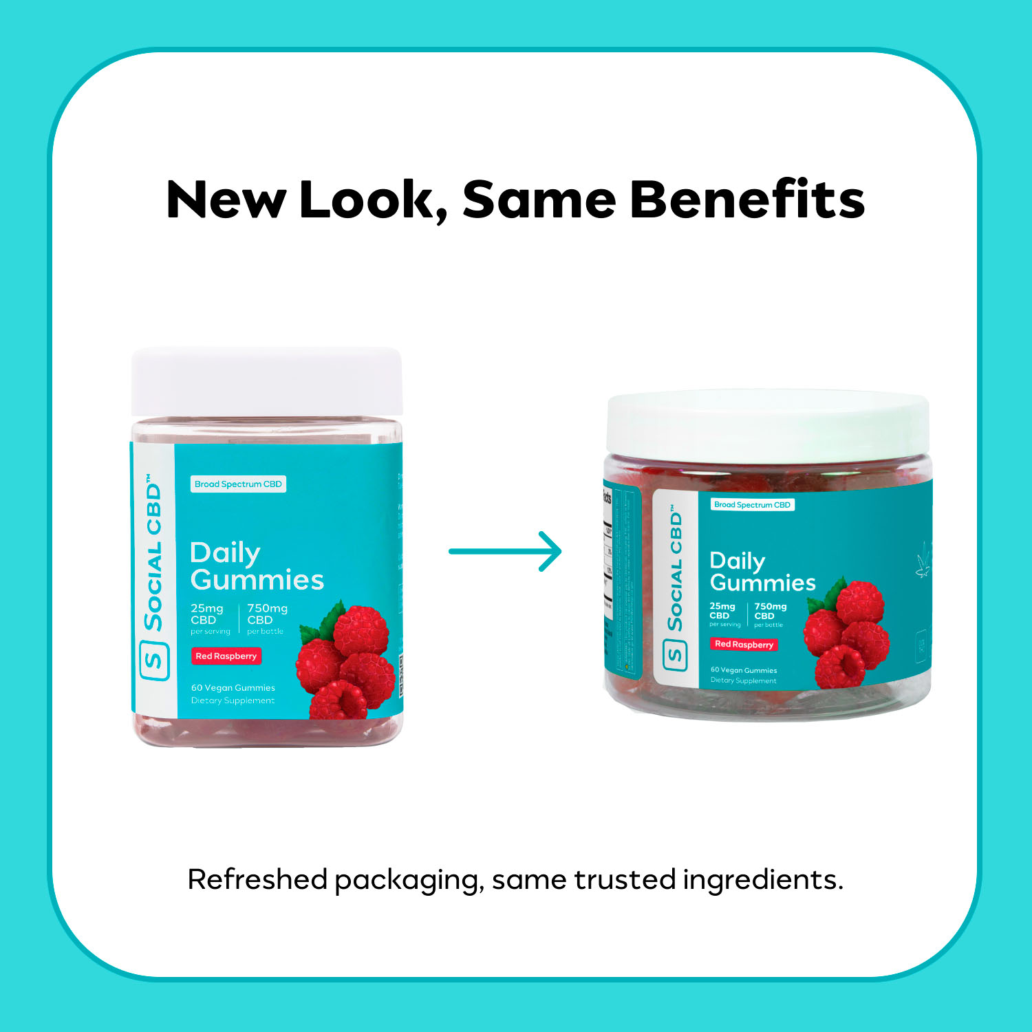 Social CBD, Daily CBD Gummies, Red Raspberry, Broad Spectrum THC-Free, 60ct, 750mg CBD