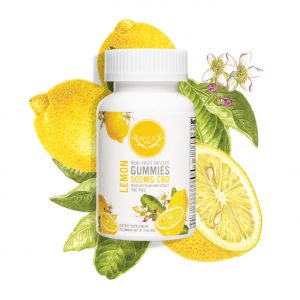 Just CBD Watermelon Rings Gummies 3000mg FREE SHIPPING