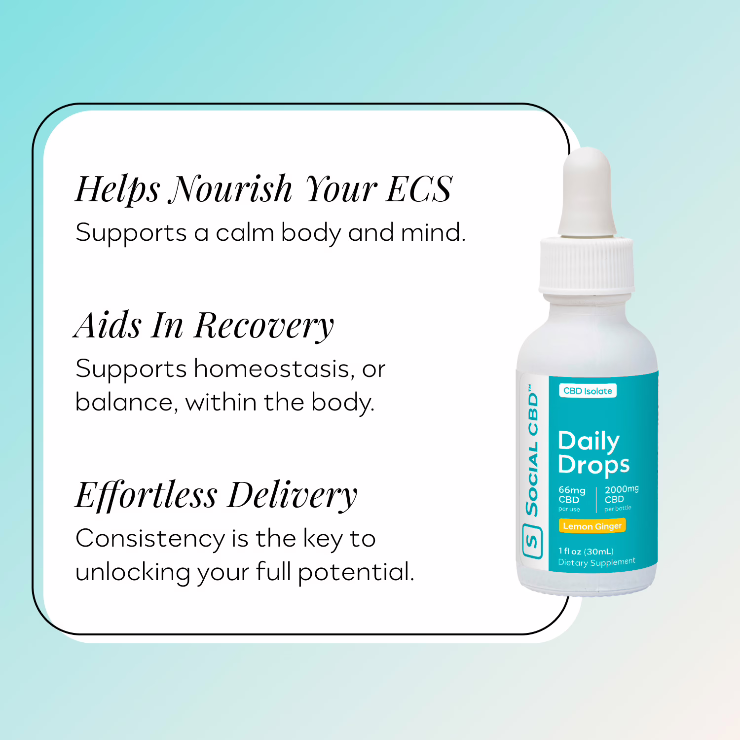Social CBD, CBD Oil Drops, Lemon Ginger, Isolate THC-Free, 1fl oz, 2000mg CBD