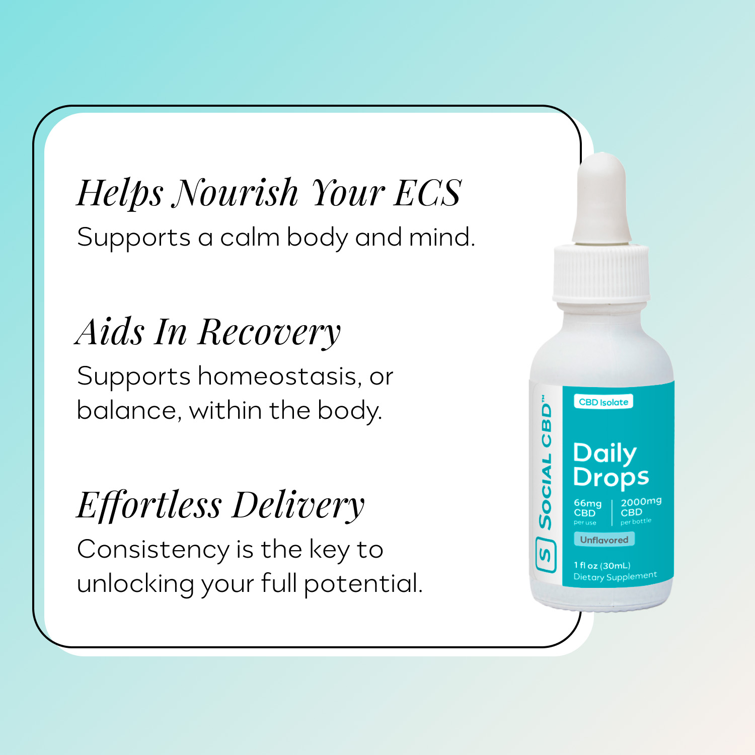 Social CBD, Daily CBD Oil Drops, Unflavored, Isolate THC-Free, 1fl oz, 2000mg CBD