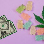 Why is CBD oil so expensive?