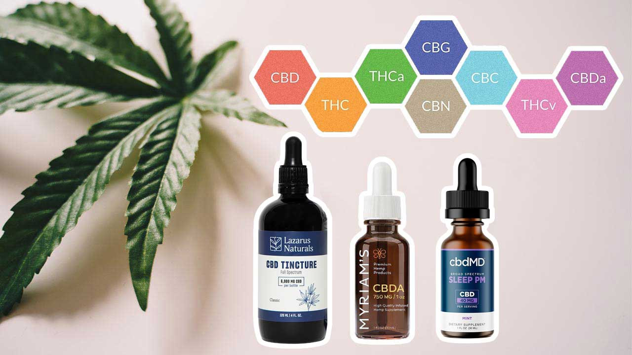 cannabinoids-differences-