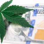 CBD Day Is A New National Holiday