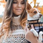 CBD products for pets have gained more popularity in 2021