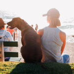 Owners Increasingly Turn to CBD to Comfort Their Pets