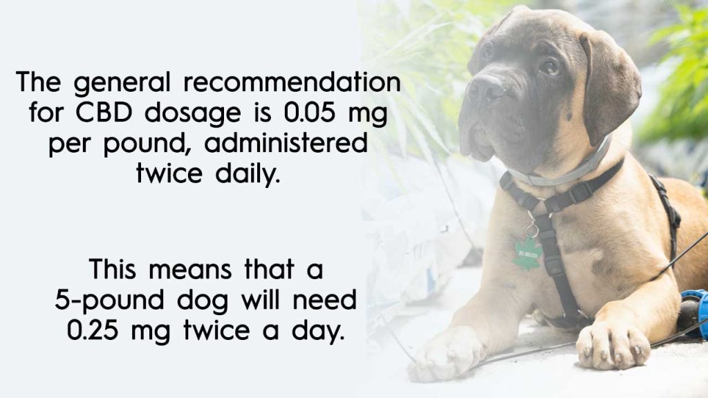 The general recommendation is 0.05 mg per pound, administered twice daily. This means that a 5-pound dog will need 0.25 mg twice a day. 