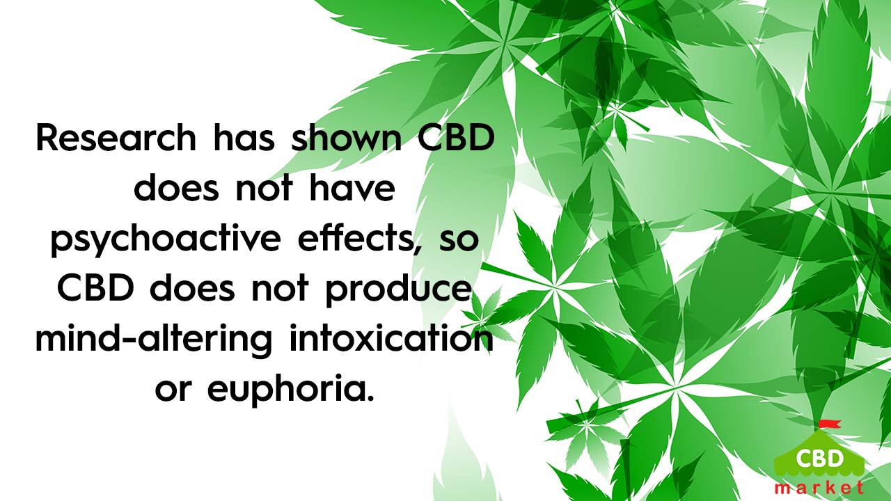 Does Thc Oil Get You Stoned Does CBD Get You High? - CBD.market