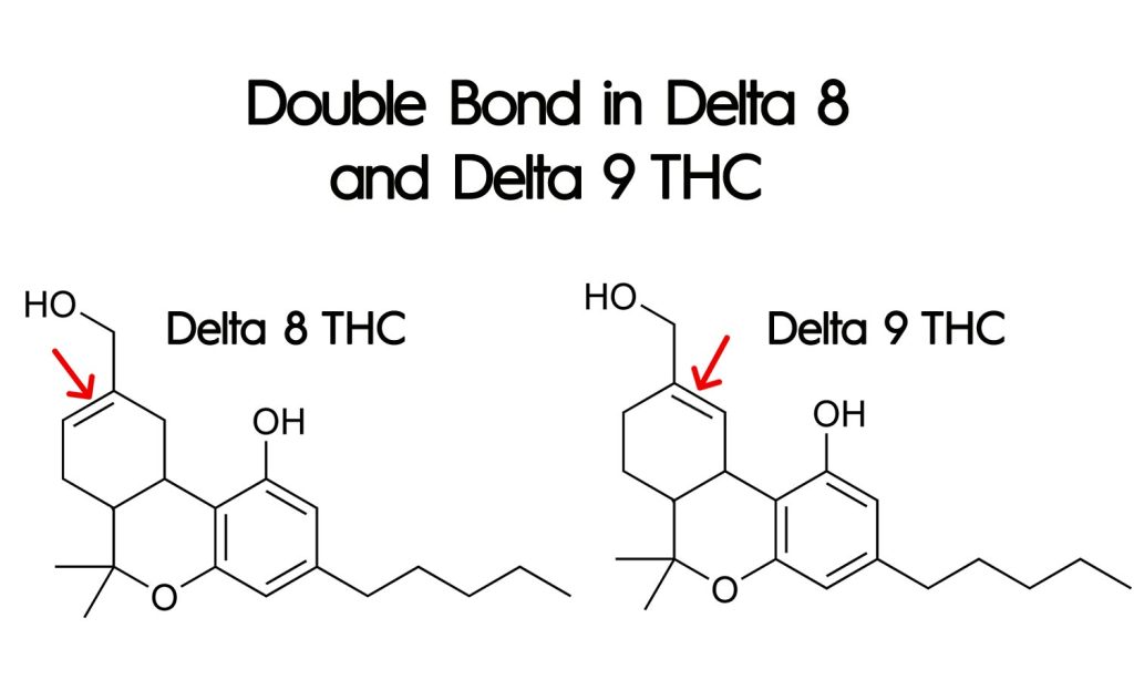 Delta-8 and Delta-9’s Double Bond