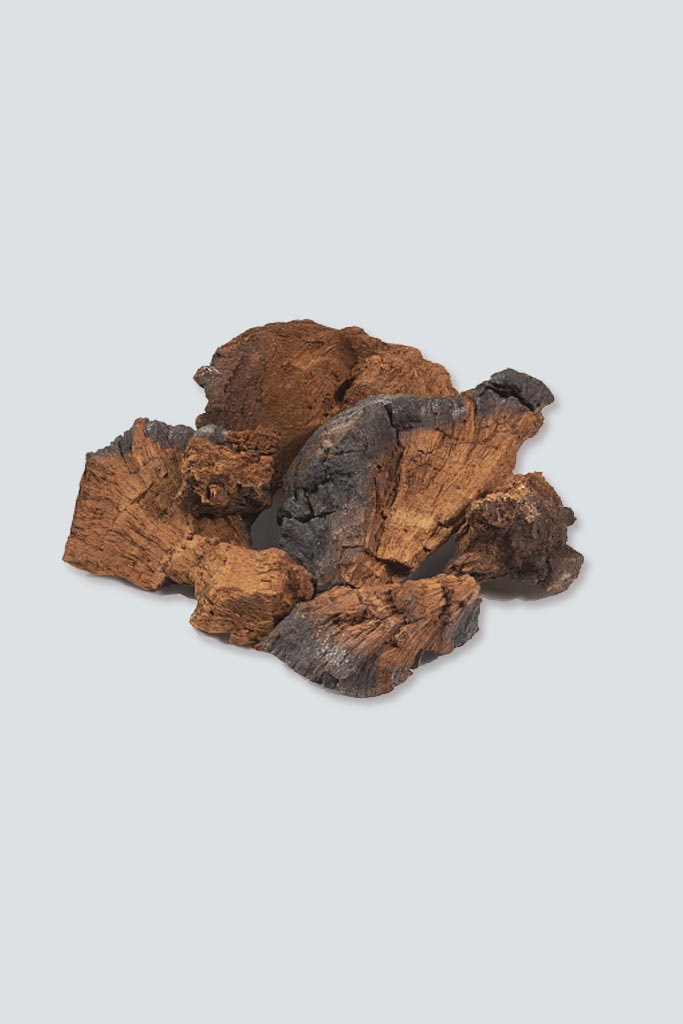 Chaga Functional mushroom